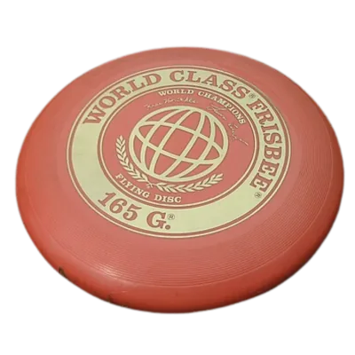 Frisbee