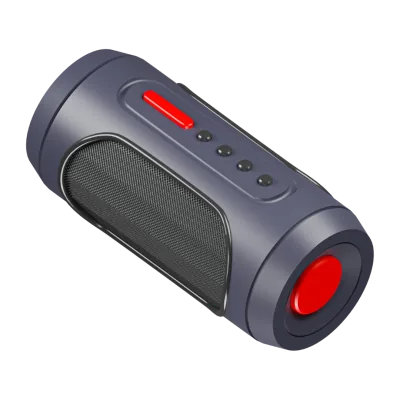 Portable Speakers